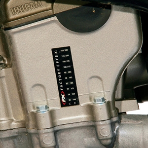 Temperature Strips