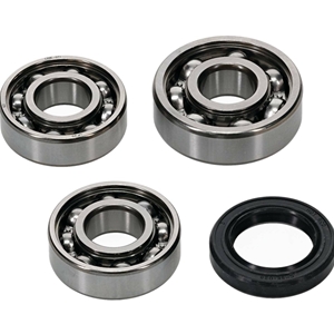 Hot Rods Counter Balancer Bearing Kits