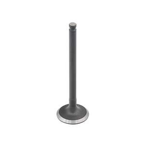 Bronco Intake Valves