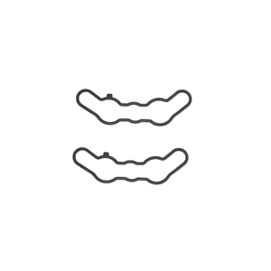SP1 Exhaust Valve Gasket Kit