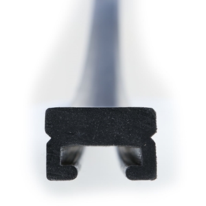 SP1 Slides