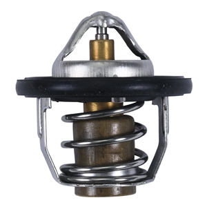 All Balls Thermostat with Gaskets