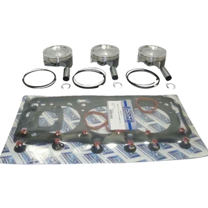 WSM Piston Kit