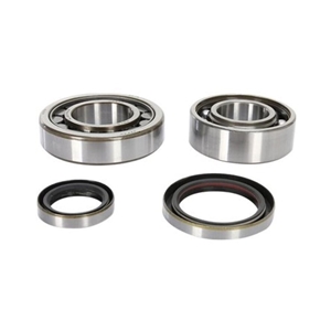 Pro-X Crankshaft Bearings