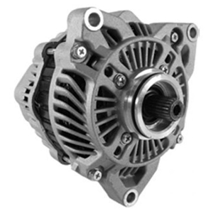Wild Boar Alternators