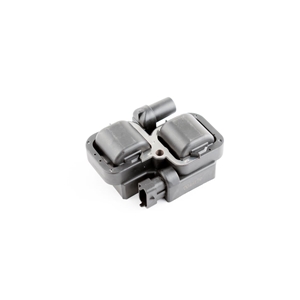 WSM Ignition Coil