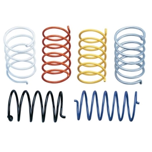 EPI Secondary Driven Clutch Springs