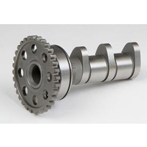 Hot Cams Stage 3 Intake Camshaft