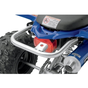 DG Performance Alloy Grab Rail