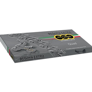 Regina Chain OE Chain and Sprocket Kits